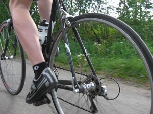Exercycle Neustadt-Tour 829